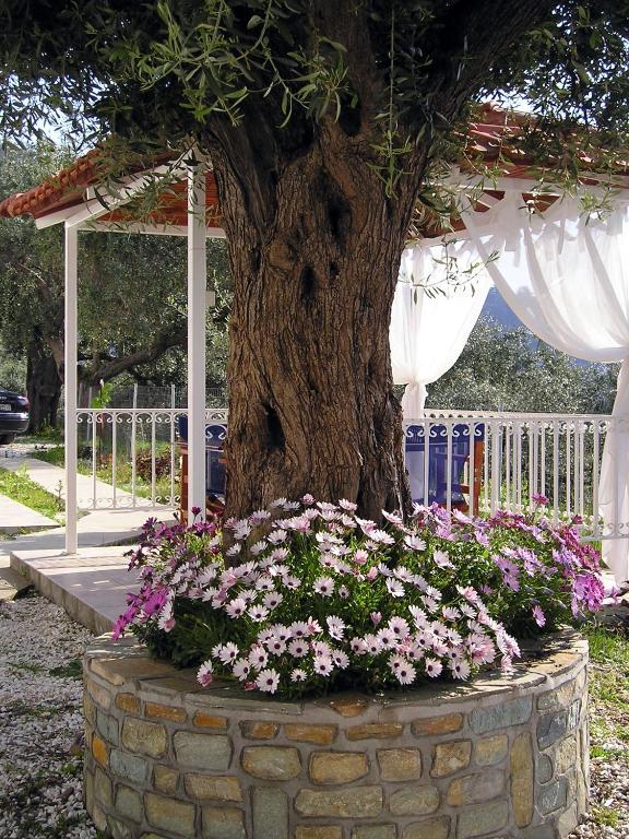 Golden Beach Inn Chrysi Ammoudia Pokój zdjęcie