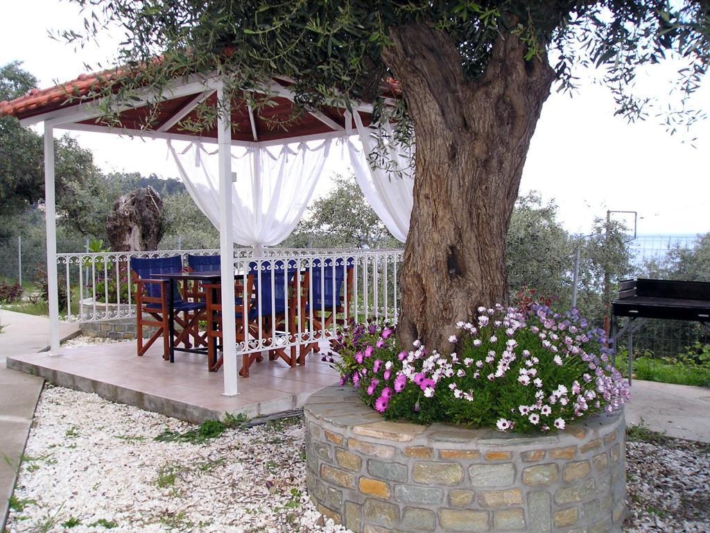 Golden Beach Inn Chrysi Ammoudia Pokój zdjęcie